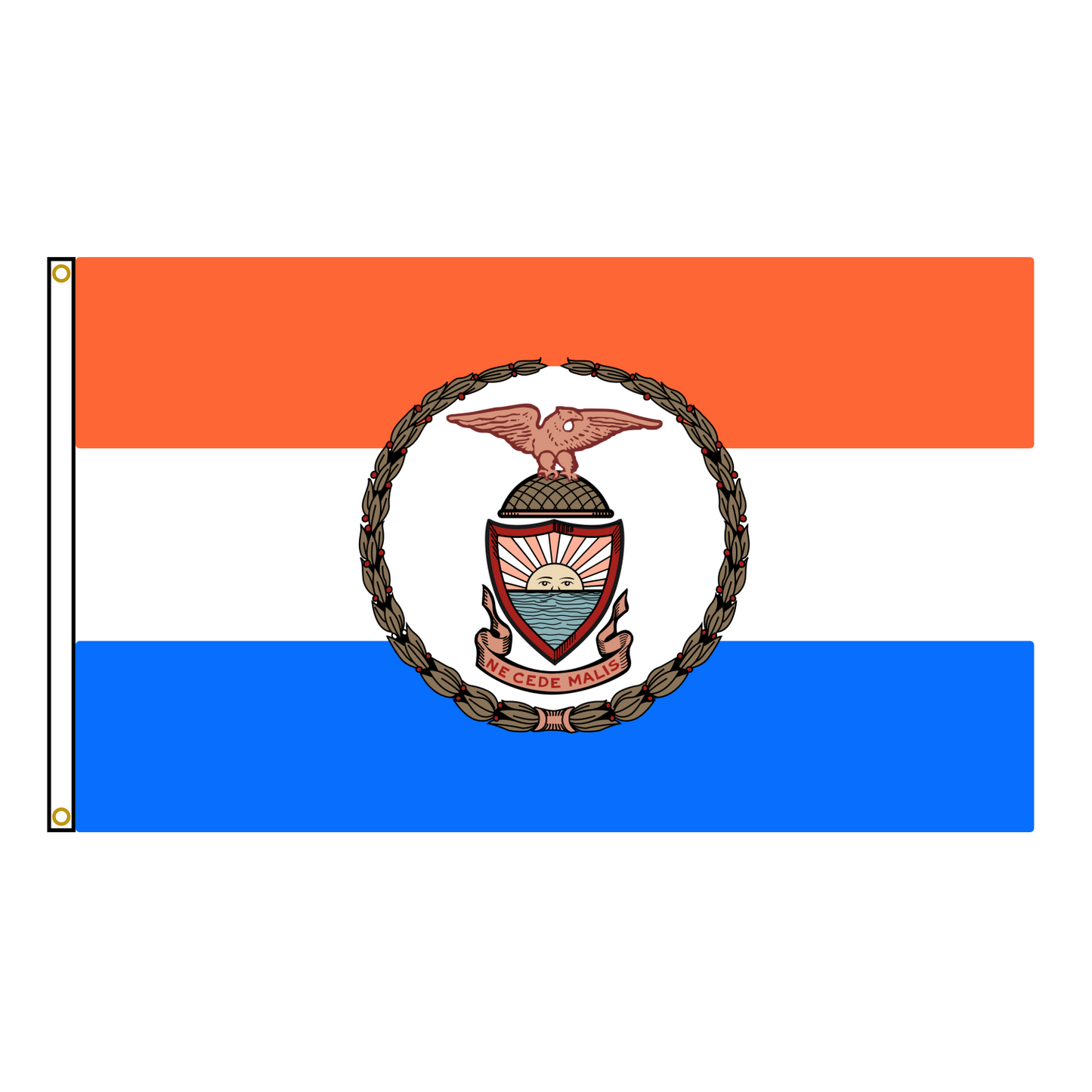 The Bronx New York Flag