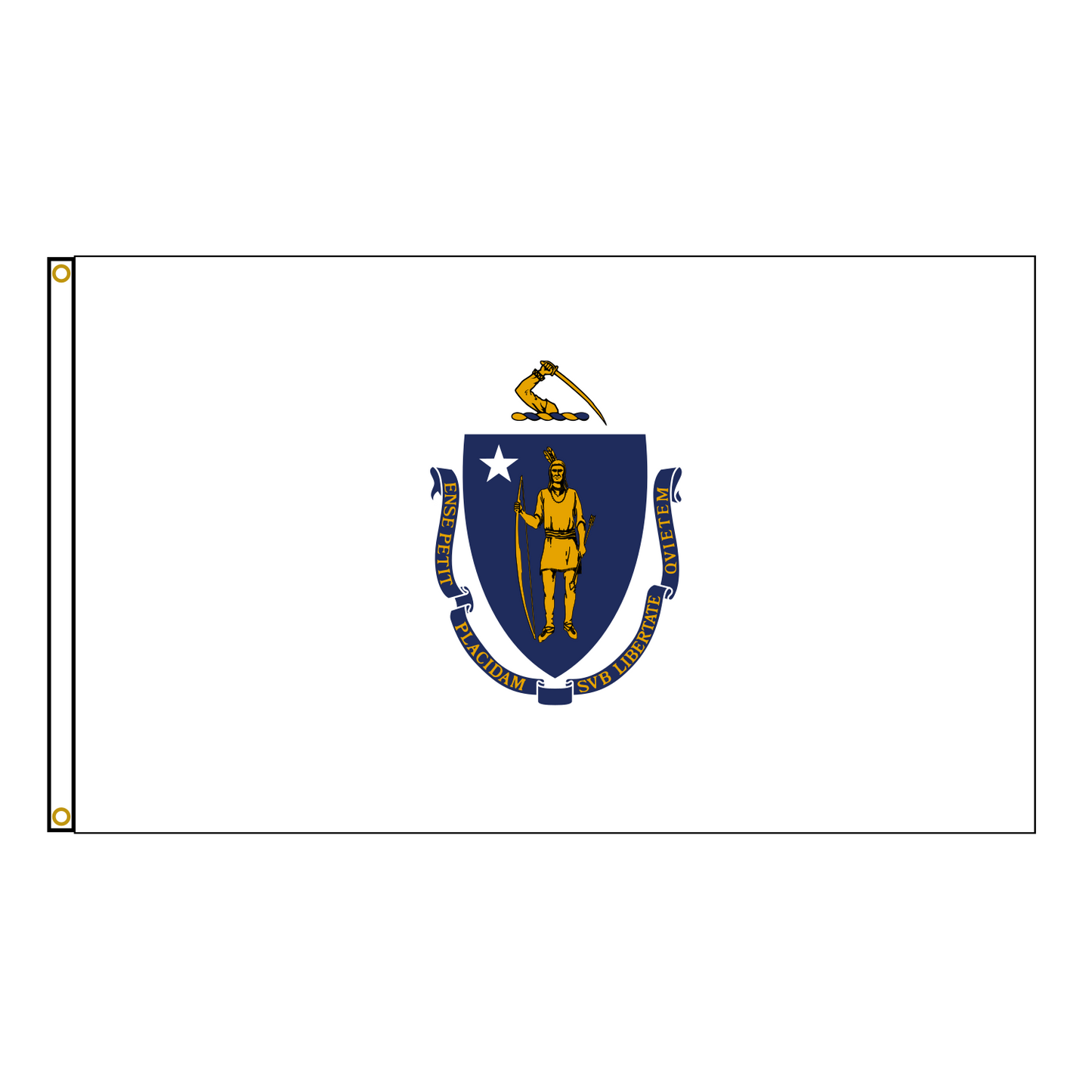 Massachusetts State Flag USA