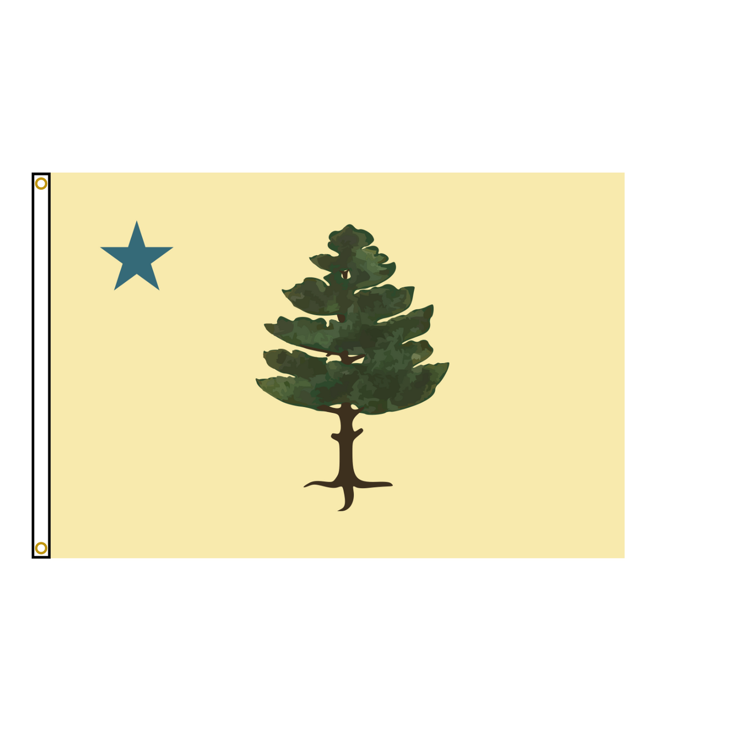 Old Maine State Flag USA