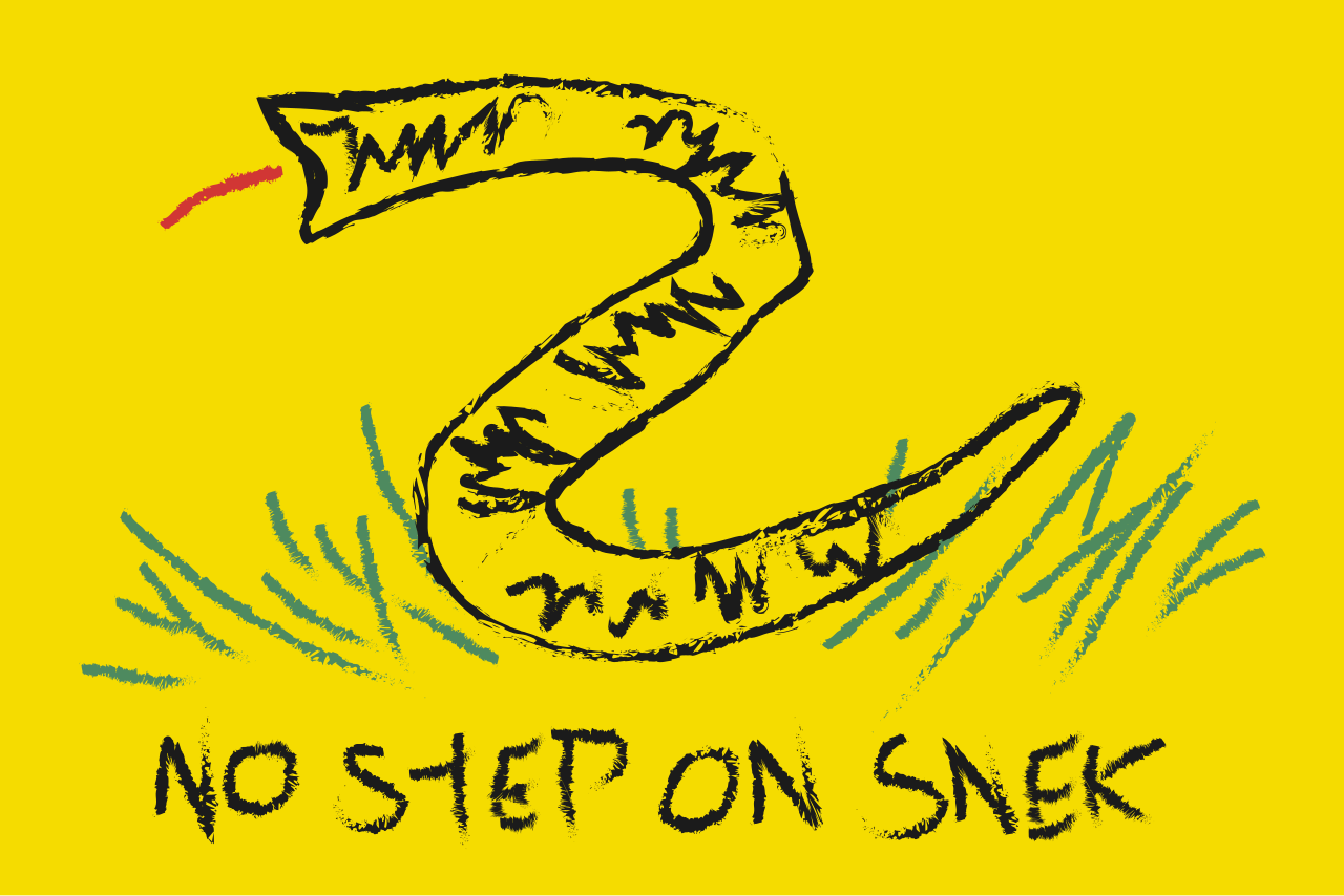 No Step On Snek Flag