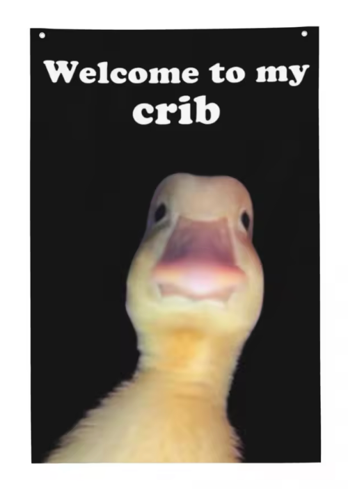 Welcome to my crib flag