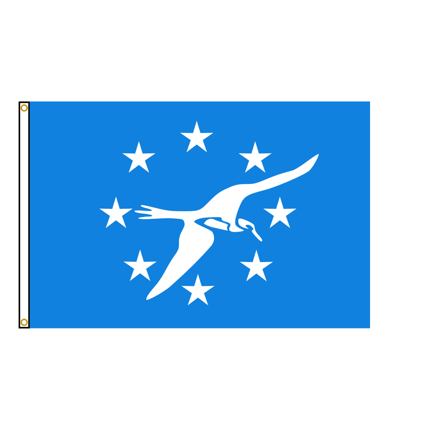 Corpus Christi Texas Flag