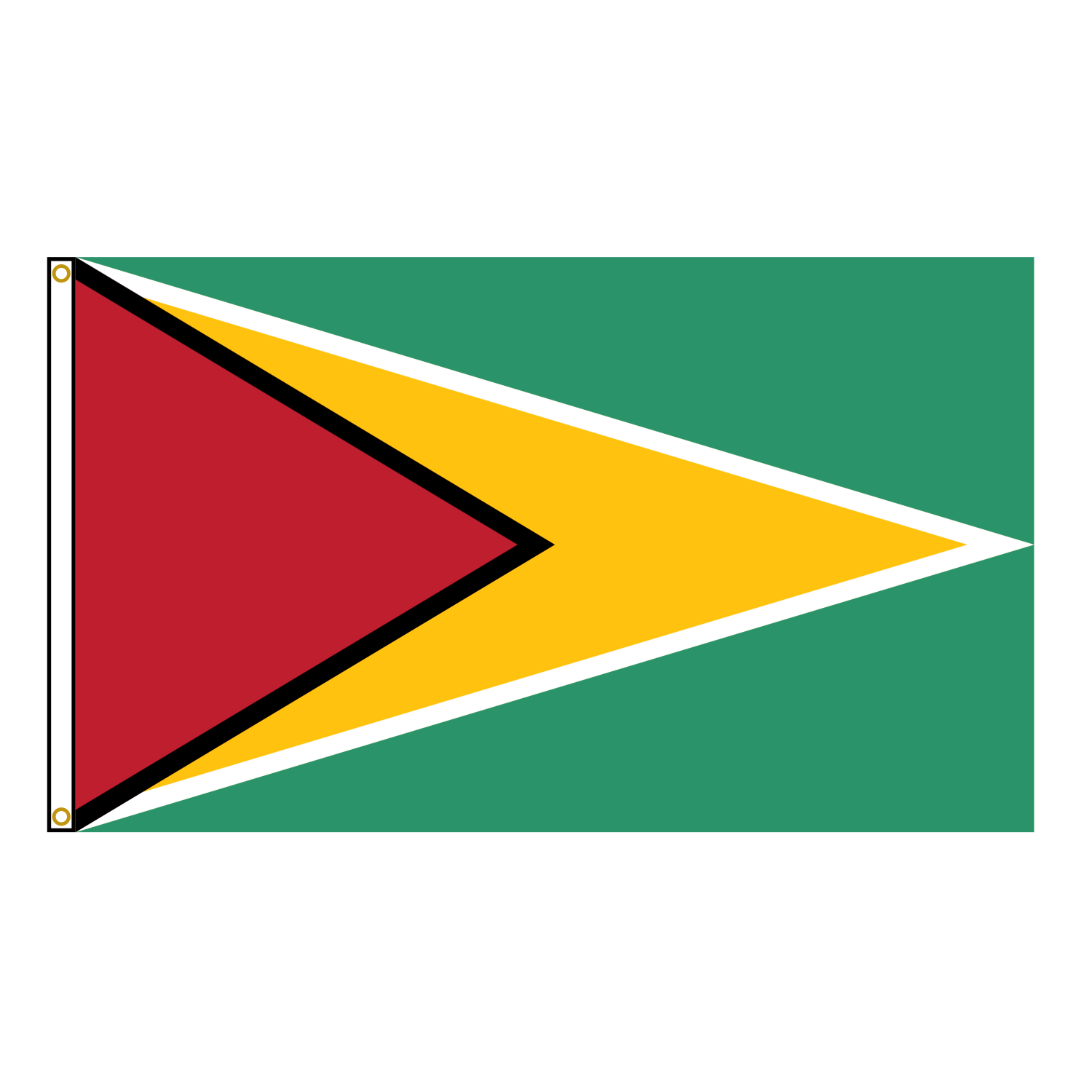 Guyana Flag