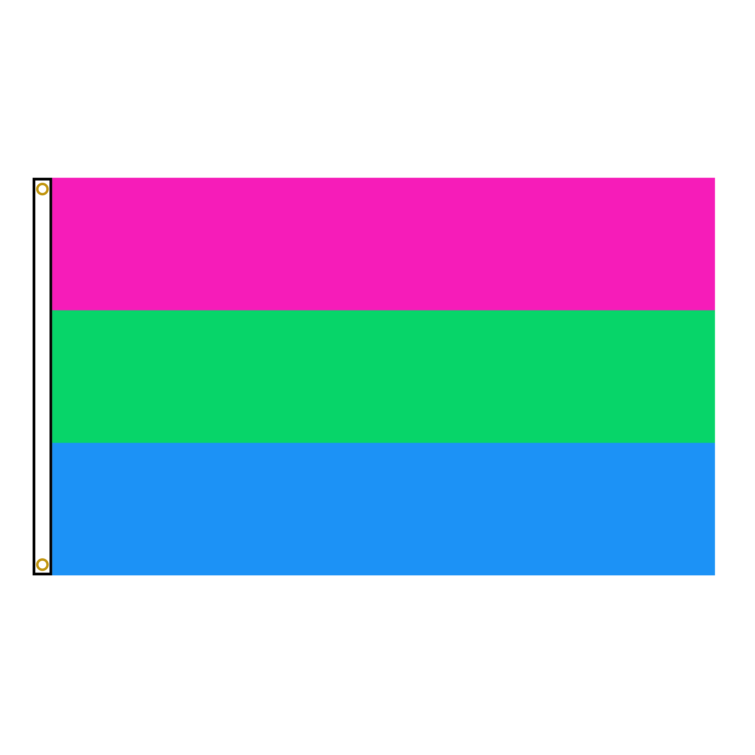Polysexual Pride Flag