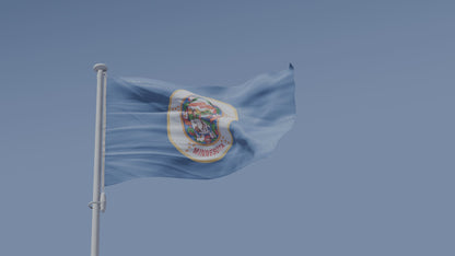 Old Minnesota State Flag USA