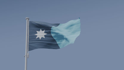 New Minnesota State Flag USA