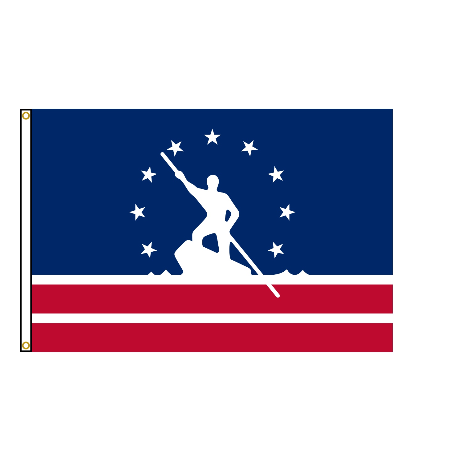 Richmond Virginia Flag