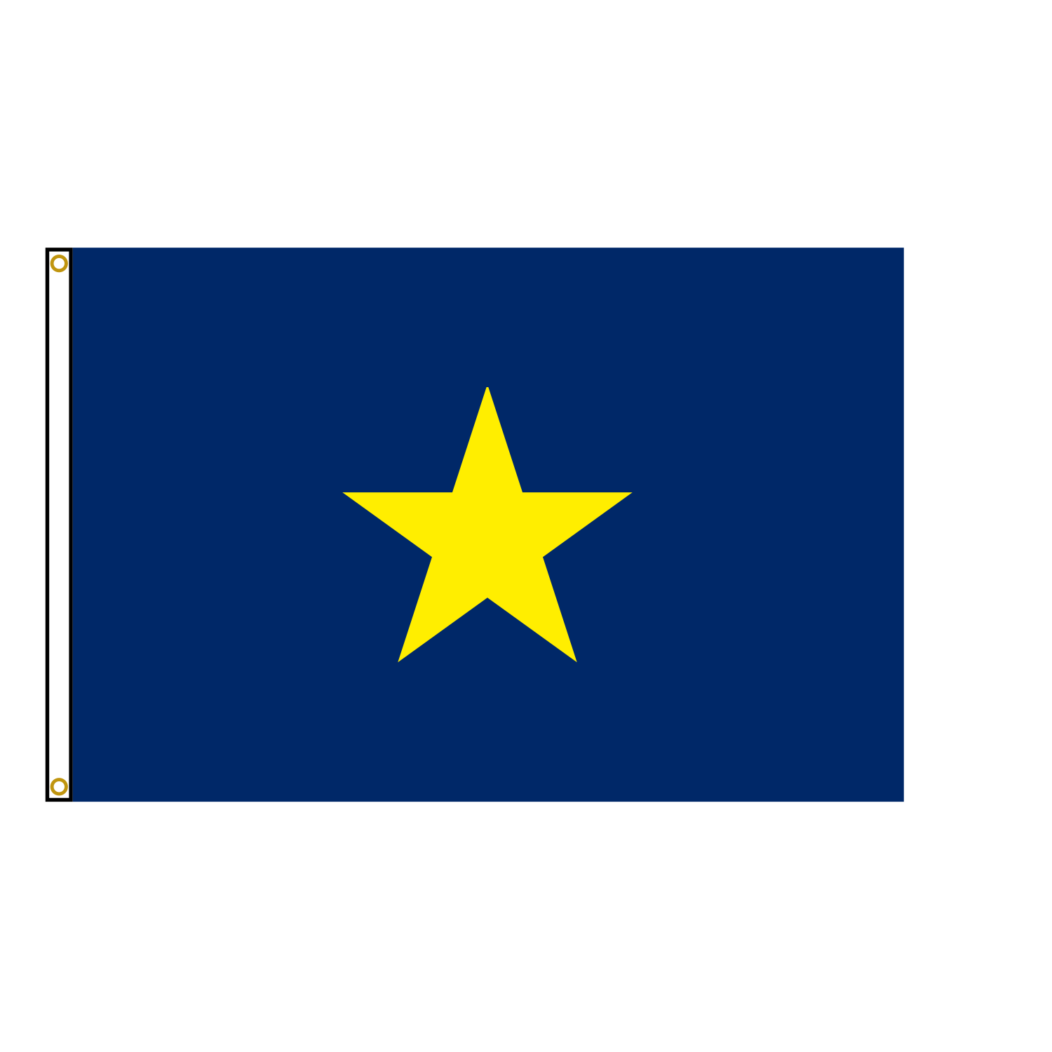 Texas Lone Star Flag