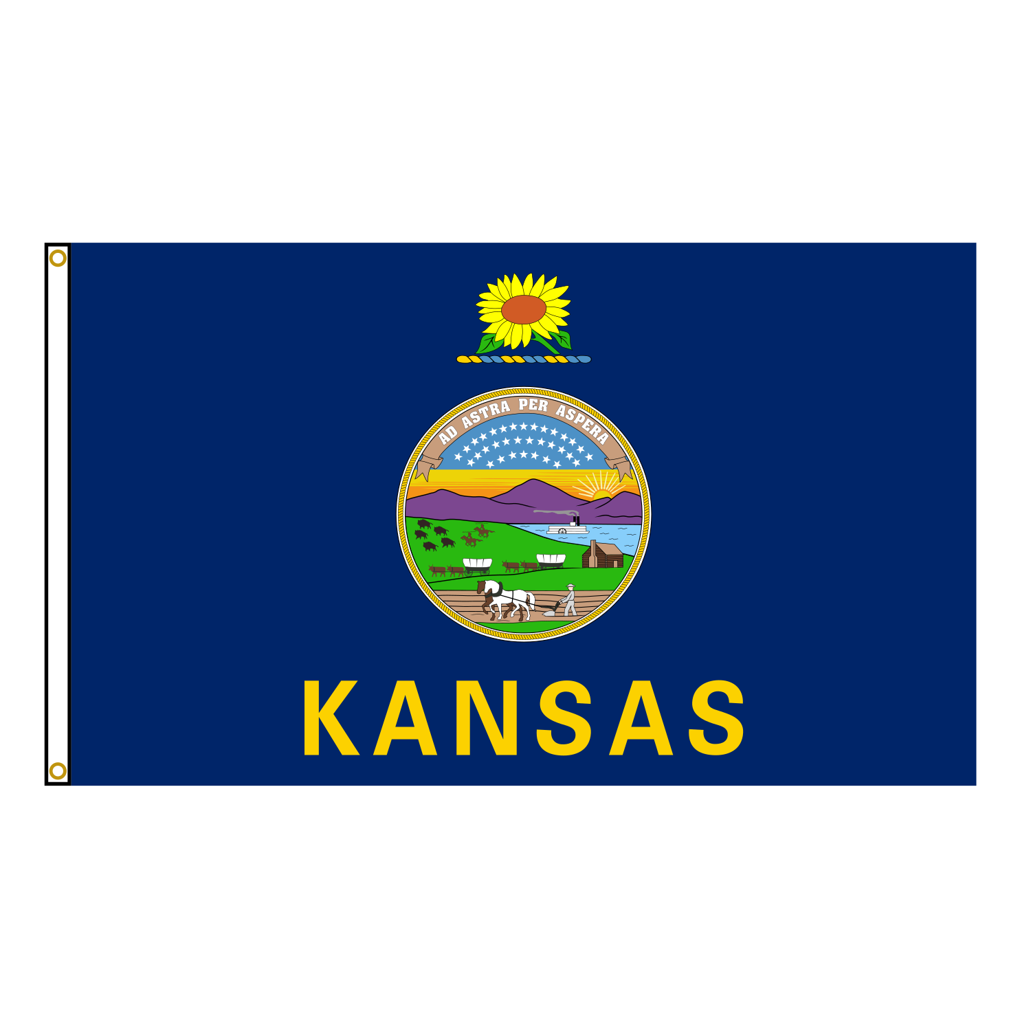 Kansas State Flag USA