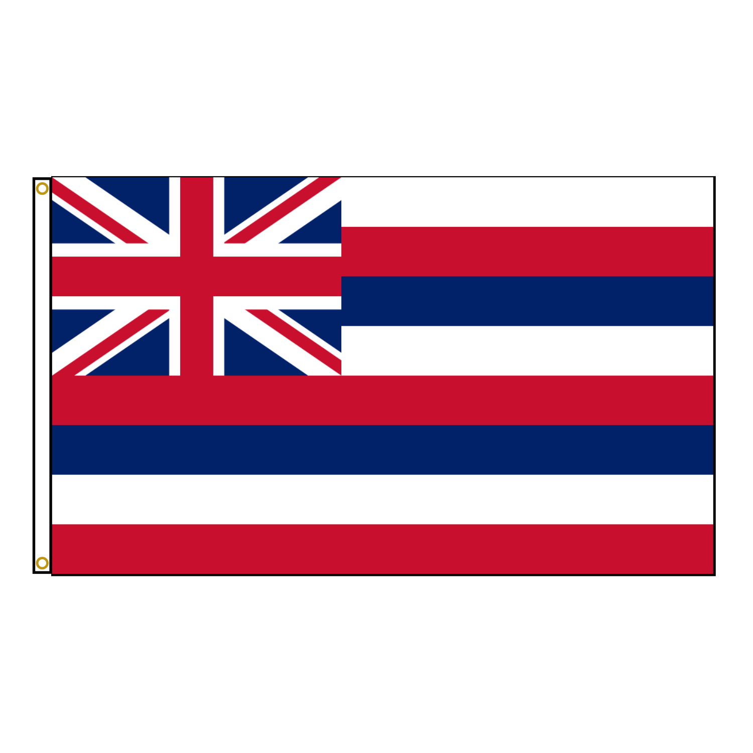 Hawaii State Flag USA