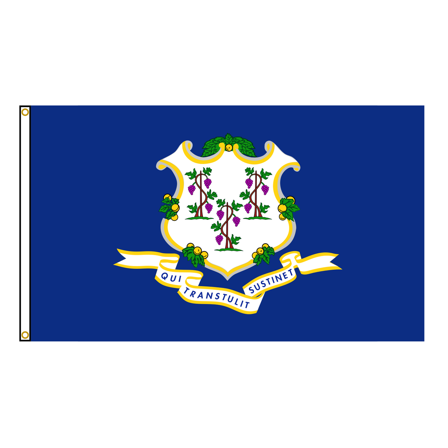 Connecticut State Flag USA