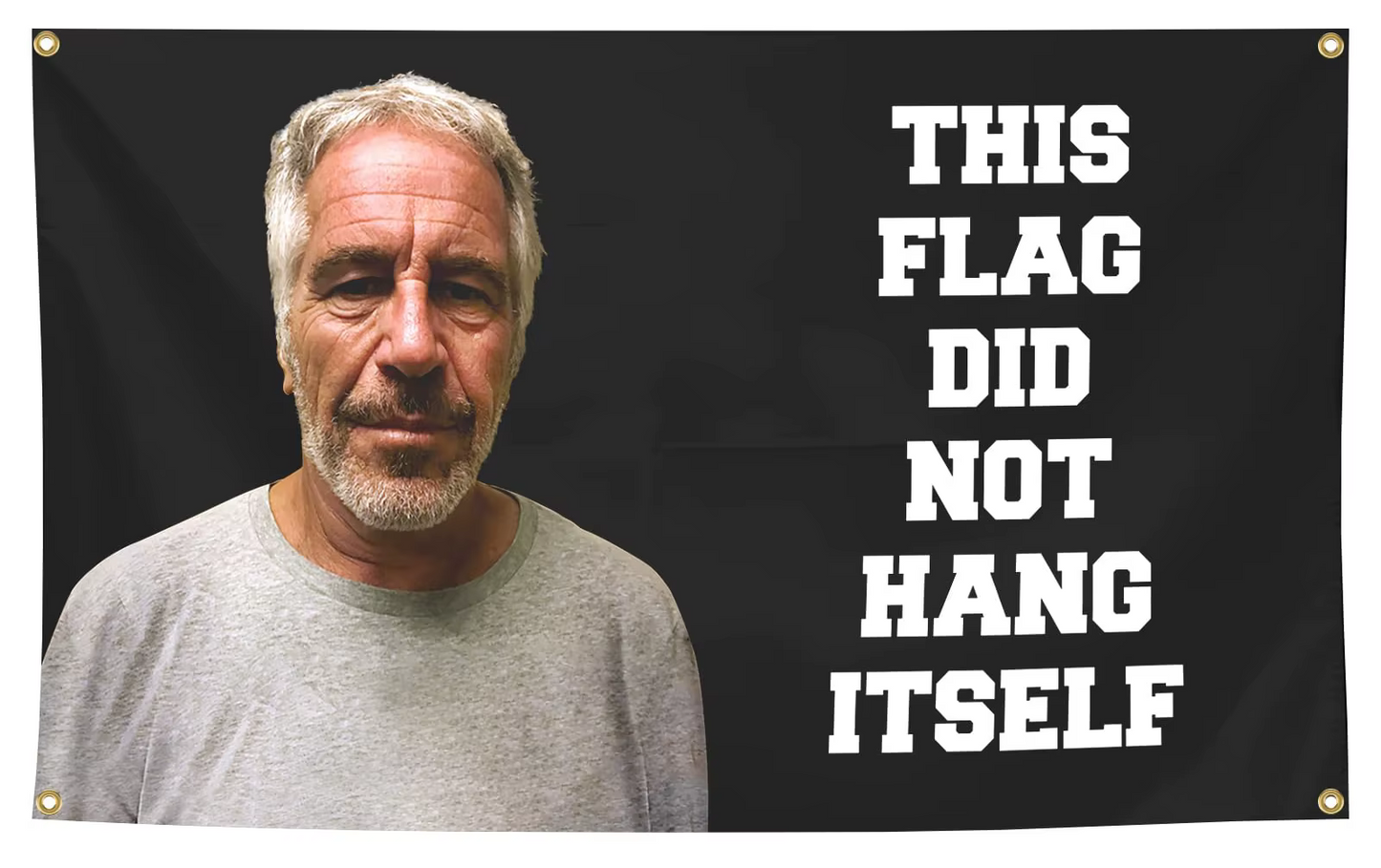 This Flag didn't Hang Itself Epstein Flag