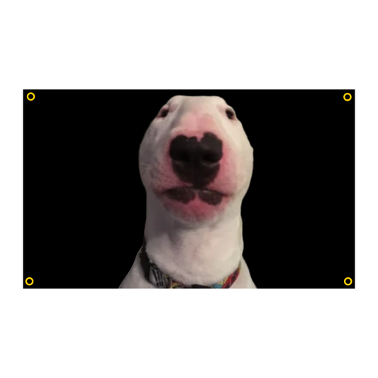 Walter the dog flag
