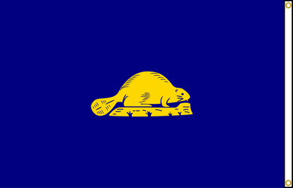 Oregon State Flag Double Sided