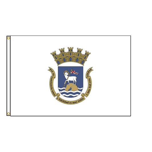 San Juan Flag