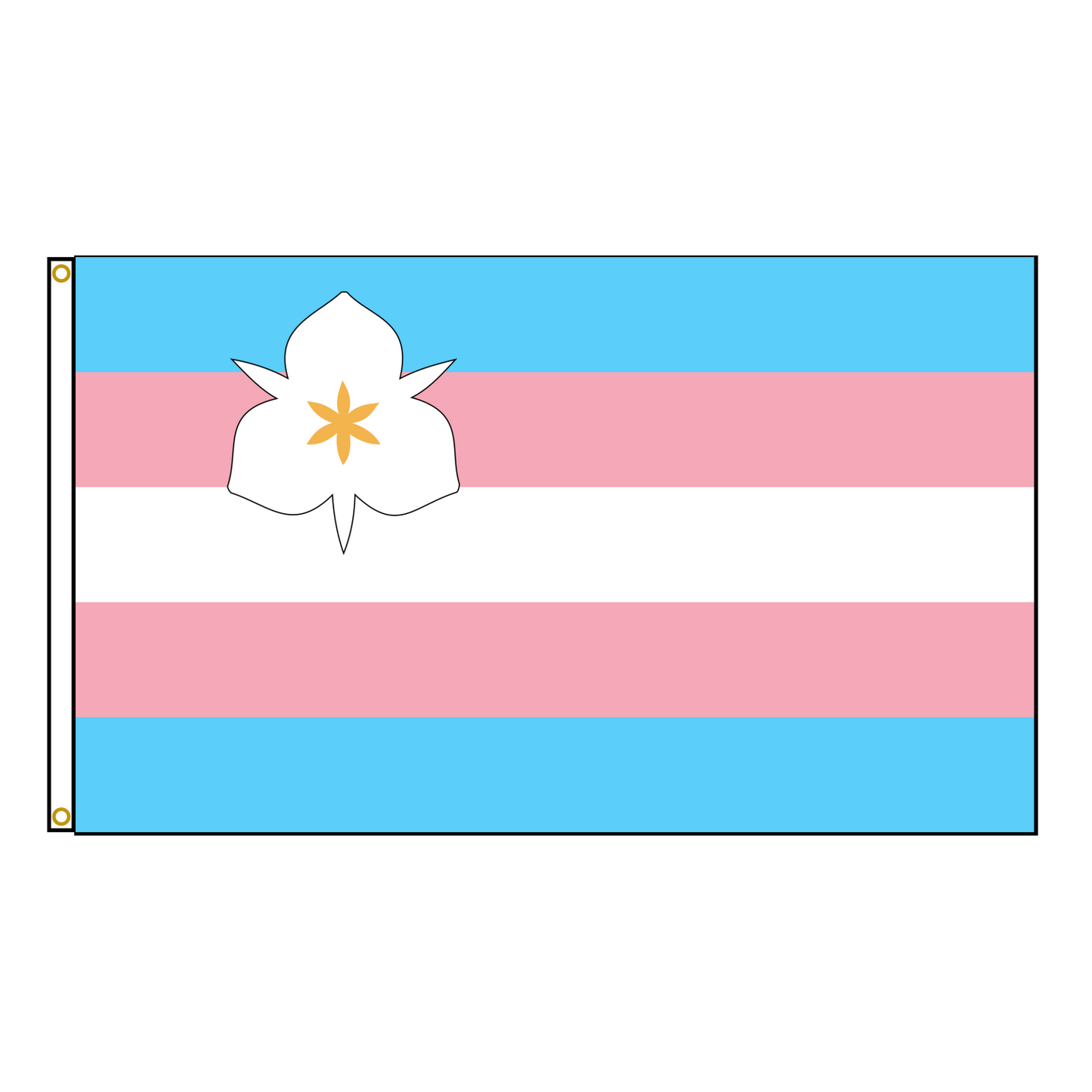 Salt Lake City Trans Pride Flag