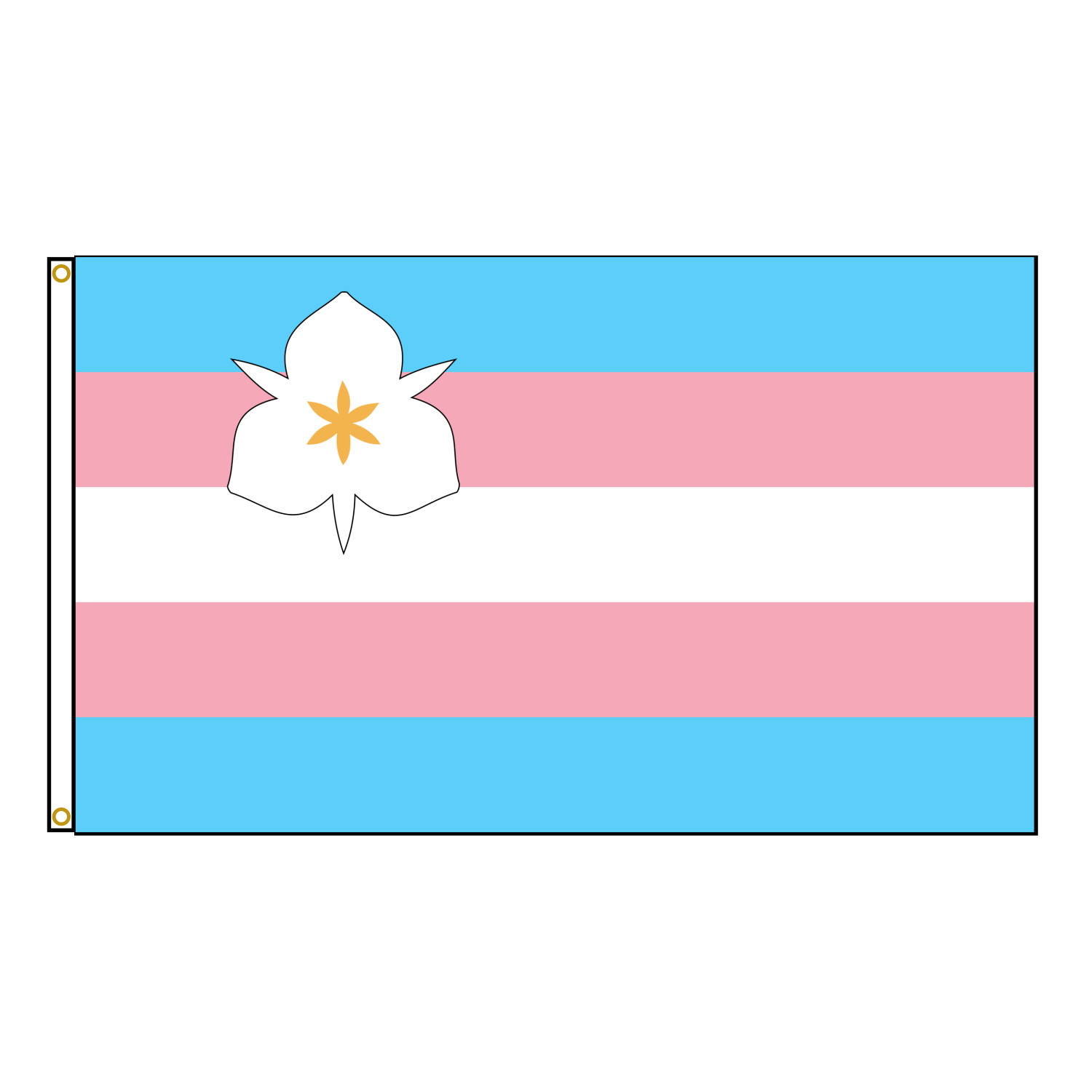 Salt Lake City Trans Pride Flag
