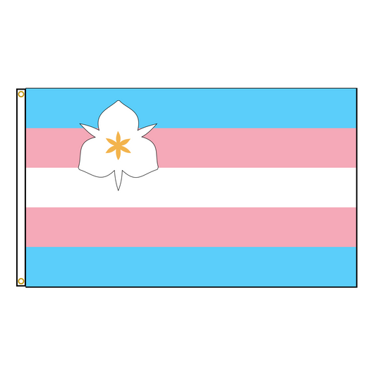 Salt Lake City Trans Pride Flag